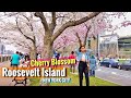 ⁴ᴷ⁶⁰ Roosevelt Island Cherry Blossom 2021 🌸 Cherry Blossom Festival in New York City - ASMR