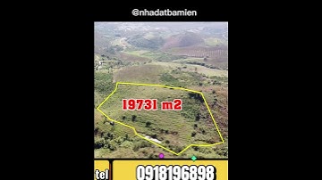 Ngân hàng thanh lý CỰC RẺ 2ha tổng 520tr! Bán đất vườn Sổ Hồng ôm suối ở Đăk Nông #shorts