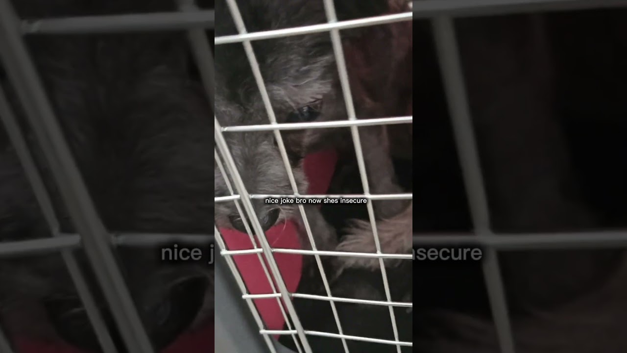 why me? 😔........ 