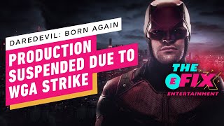 Daredevil: Born Again Suspends Production as Workers Join Writers Strike  - IGN The Fix: Entertainme