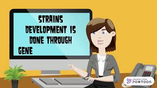 BMS543 STRAINS DEVELOPMENT AS2575C AS257 MAI