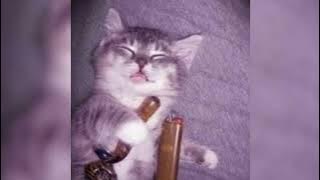 lungskull - me 2 (og speed)