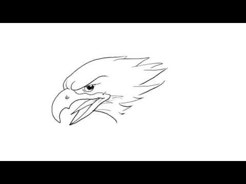 How To Draw An Eagle Head Easy Picture Drawing Yzarts Youtube