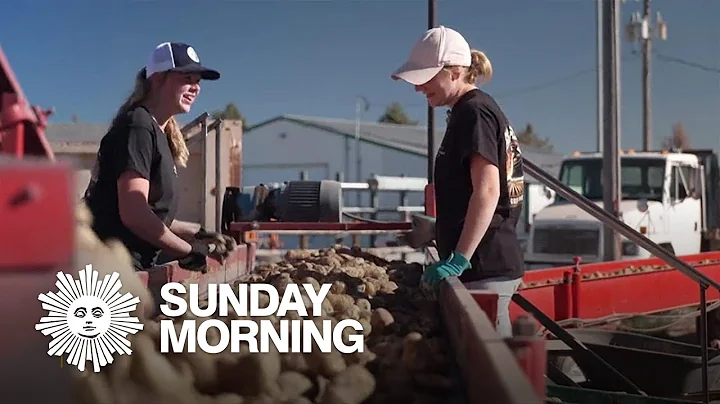 "All hands on deck" for Idaho's annual potato harvest