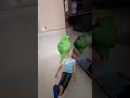 🦜खाली पेट दिमाग काम नहीं कर रहा है। #parrot #funny #trending
