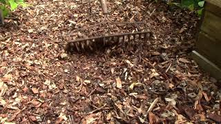 The Benefits of Woodchip Mulch