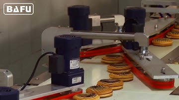 FWC350 Aligner Feeder Flow Pack Machine