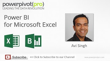 PowerBI Family: Power Pivot, Power Query, Power View Demo