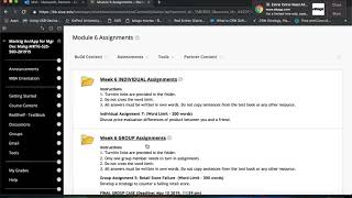 Module 6 Assignments Instructions