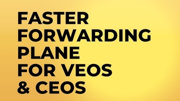 Faster forwarding plane for Arista VEOS and CEOS