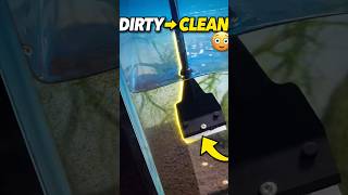 Insane aquarium cleaning tool☠️🥀#animals #trending #fish #fishkeeping