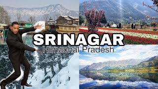 BudgetFriendly Winter Trip to Srinagar: Where to Stay, Eat, and Play  #srinagar #travel
