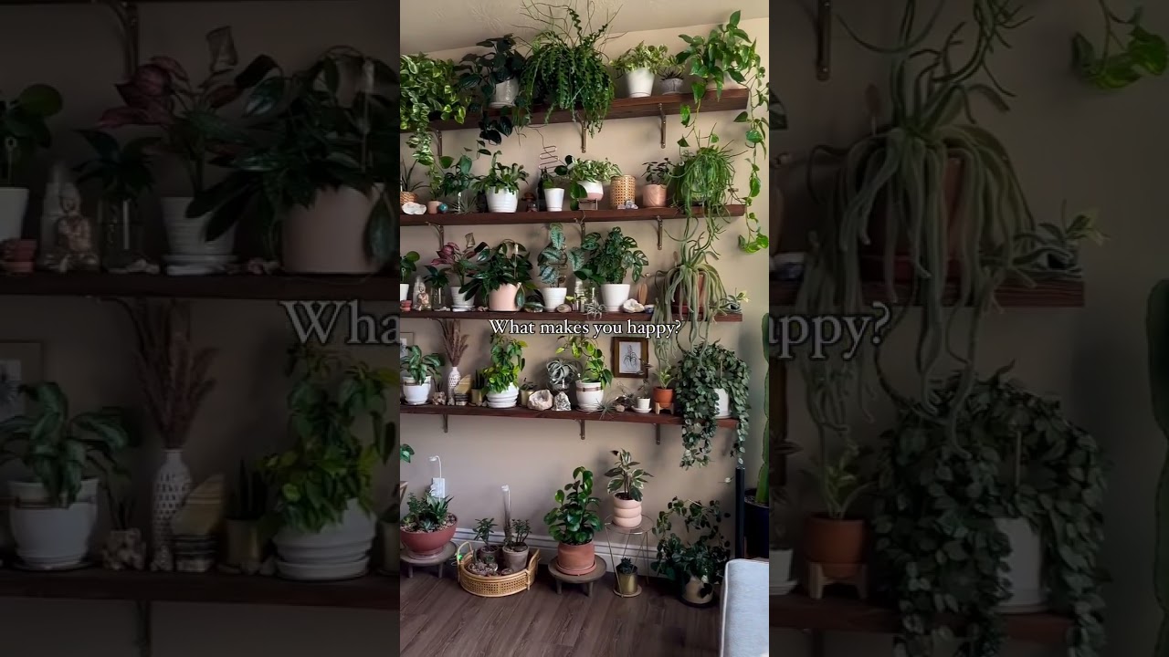 What makes you happy? 