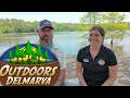 Getting to know E-Beach Wagon