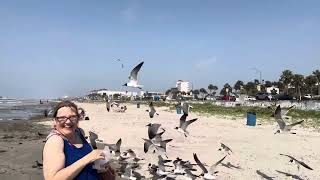 Feeding the sea gulls at Galveston 2024 (I don't know the girl with Debbie)