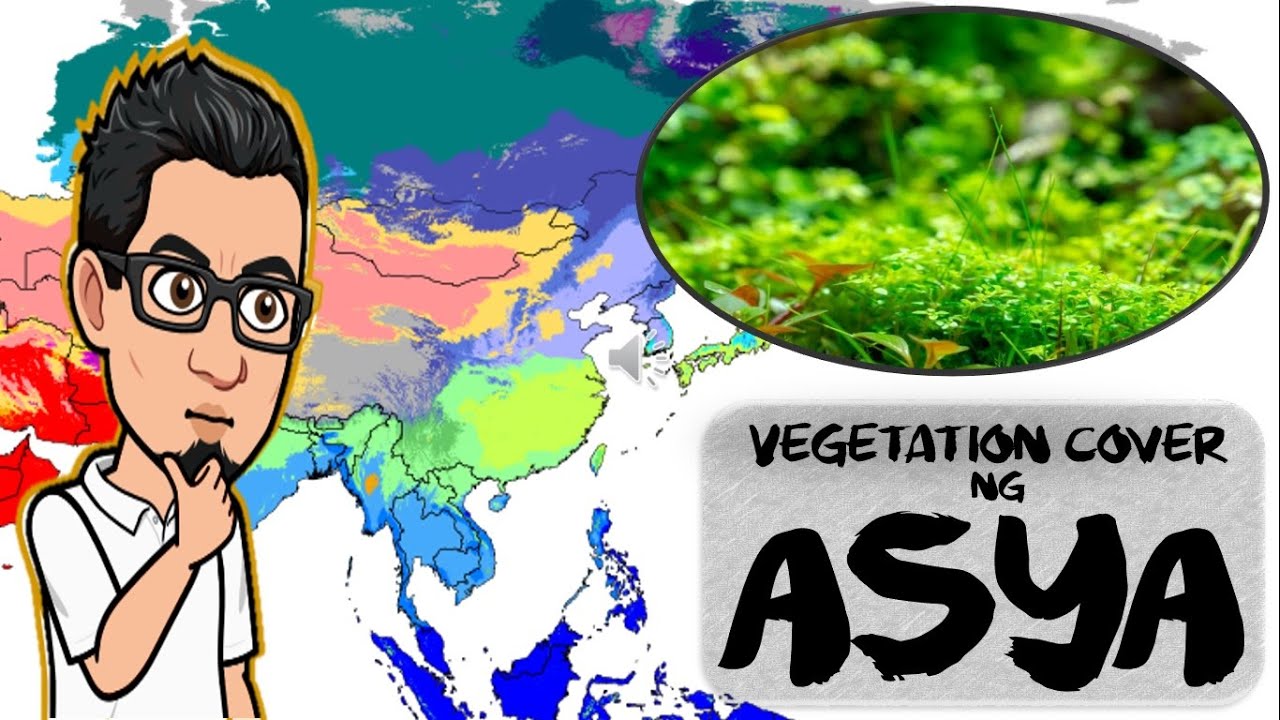 Vegetation Cover ng Asya - YouTube