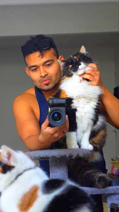 Photographer & Chonky 😍 #cats #shorts #catshorts