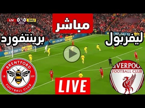 بث مباشر مباراة ليفربول ضد برينتفورد اليوم الدوري الإنجليزي