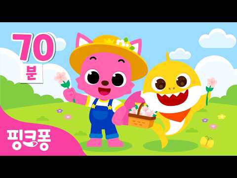 봄이 오고 있어요🌸 다함께 나들이 가요 | +모음집 | <strong>2026</strong> 봄 <strong>동요</strong> 메들리🎶 | 나들이 <strong>동요</strong>, 소풍 <strong>동요</strong> 외 신곡 포함 |  핑크퐁! 인기동요