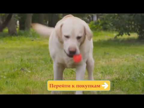 Корм Роял Канин для собак и кошек Royal Canin