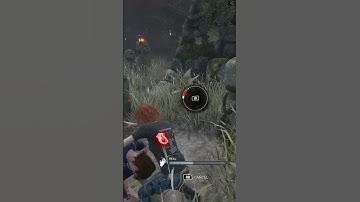 "dbd isn