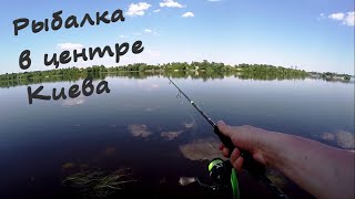 РЫБАЛКА в центре Киева на СПИННИНГ | ловля СУДАКА и ОКУНЯ на набережной р. Днепр | Клев есть?!