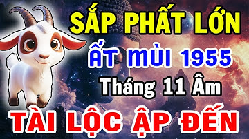 Tháng 11 Âm Lịch: Ất Mùi 1955 Bùng Nổ Vận May – Điều Chắc Chắn Sẽ Xảy Ra!