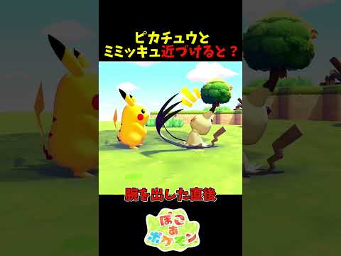 【ぽこあポケモン】ピカチュウとミミッキュを近づけると？