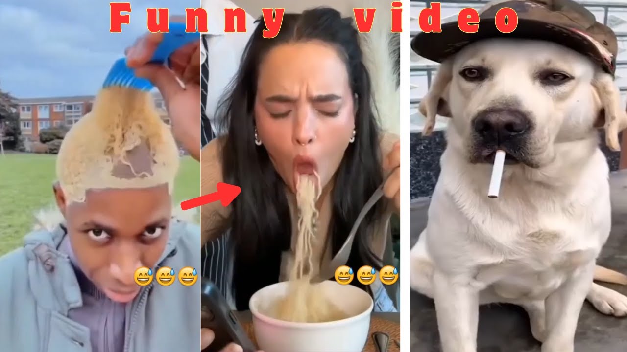 best-funny-videos-compilation-try-not-to-laugh-videos-2024-047