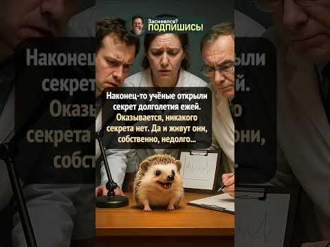 Раскрыт секрет долголетия… ежей #анекдот #юмор #приколы #шортс #смешно #shorts