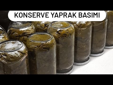 Tam Mevsimi Yaprak Basımı|Akmayan Kokmayan Konserve Yaprak Nasıl Yapılır|Pratik Yemek Tarifleri