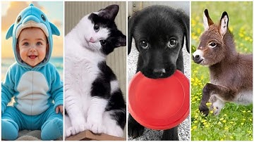 Cute Baby, Baby Animal, Baby Cats and Baby Dogs Moments You Must See! Funniest ANIMALS, PETS & BABY
