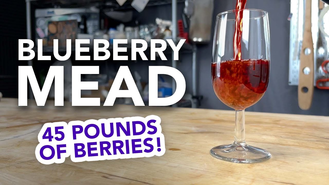 Blueberry Mead with 45 POUNDS of berries start to finish melomel brew