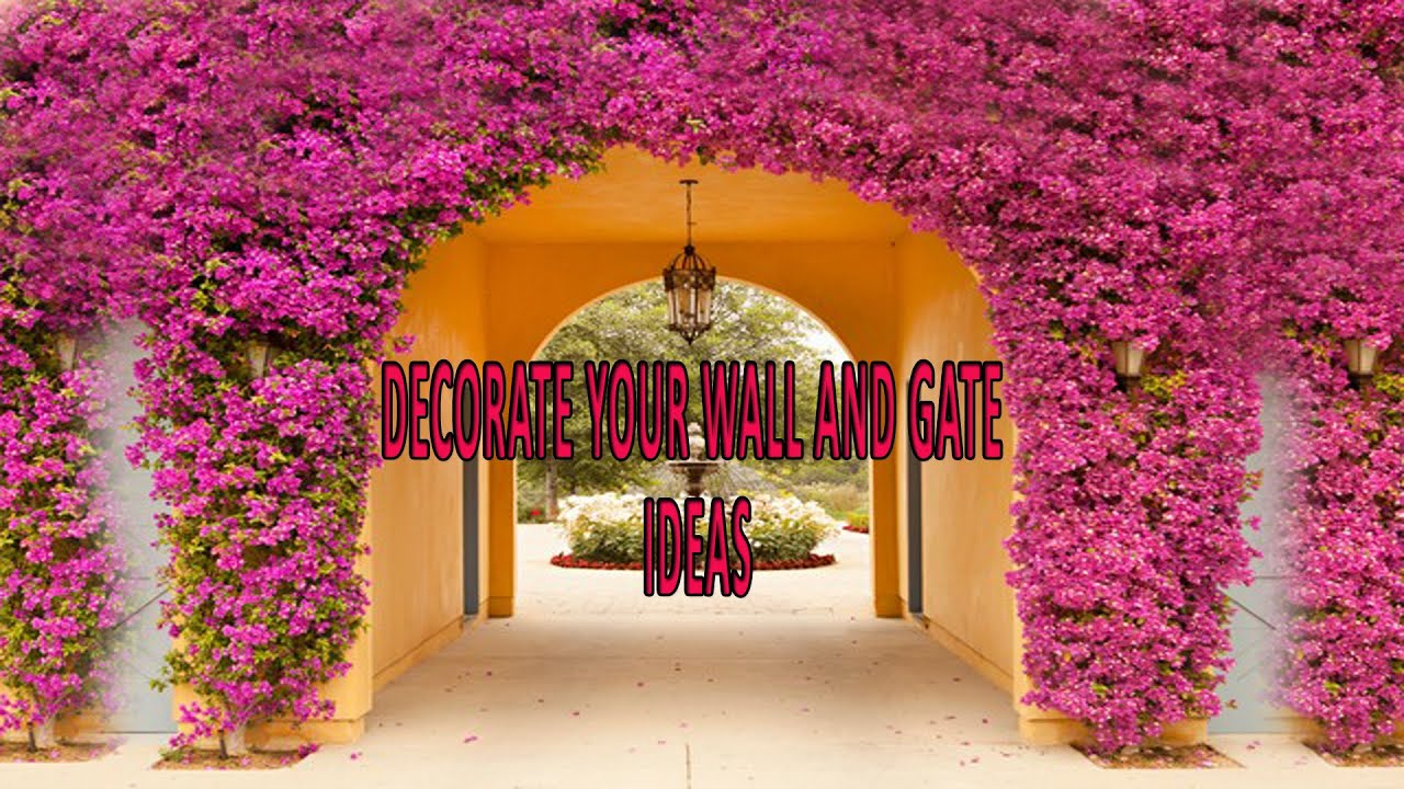 Ideas For Decorate Your Boundary Wall, Fence And Gate With Creeper Plants and Vines, Ko Gardening