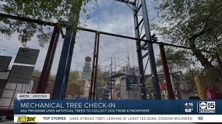 How Arizona State University's mechanical trees are helping reduce CO2 in the atmosphere