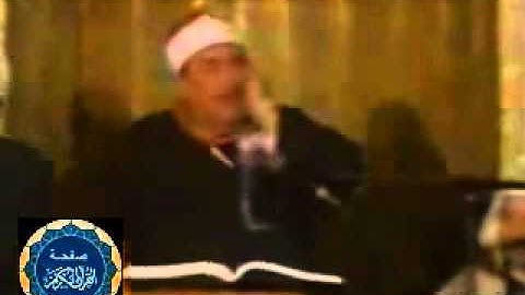 الشيخ عبد الوارث عبد العزيز   سورة القصص