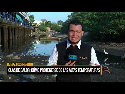 Ola de calor: cómo protegerse de las altas temperaturas