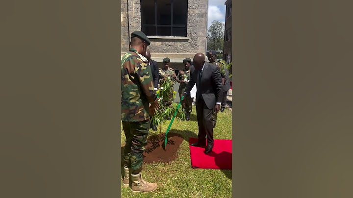 President Ruto planting commemorative tree during launch of police housing #kenya #news #like #ruto