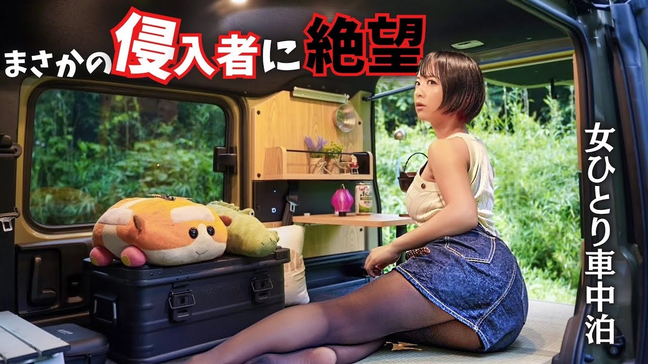 Неожиданный гость｜Автоночь стала кошмаром【одна женщина】