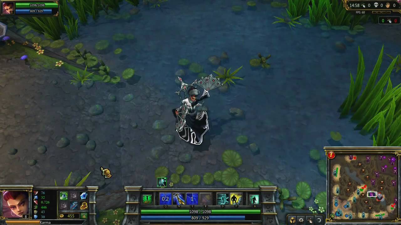 Karma Champion Spotlight - Karma Champion Spotlight