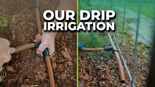 Drip Irrigation for Vegetable Rows: Pressure, Flow, and Layout