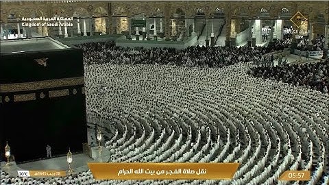 صلاة الفجر السبت 8-7-1445هـ الشيخ ماهر المعيقلي   -   أواخر سورة المؤمنون [ 84 - 118]