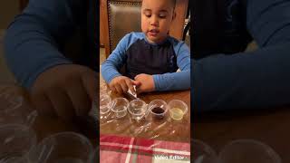 Experiment Growing Gummy Bears