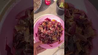 onion peel liquid fertilizer / homemade fertilizer #terracegarden #fertilizer #ytshorts