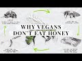 Why don't vegans eat honey?