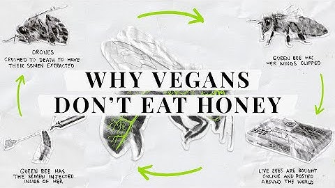 Why don