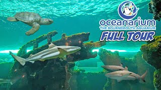 Oceanarium Bournemouth 25th Anniversary Full Walkthrough (July 2023) [4K]