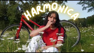 I Tried Learning The Harmonica In 7 Days!