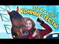 ЛОШАДЬ МОЕЙ МЕЧТЫ - Прохожу конные тесты!