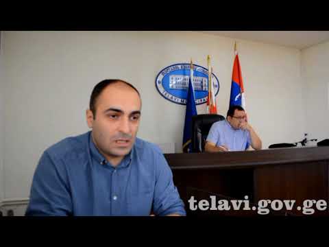 N8   სააუქციონე პირობების ვადის გაგრძელების შესახებ   30 07 2018